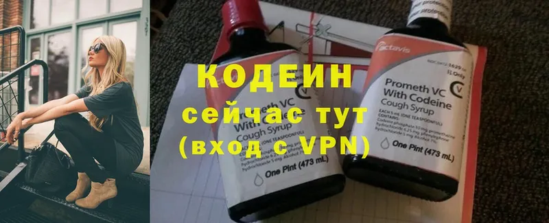 цена наркотик  Ревда  Кодеиновый сироп Lean Purple Drank 